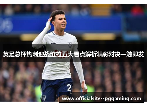 英足总杯热刺迎战维拉五大看点解析精彩对决一触即发