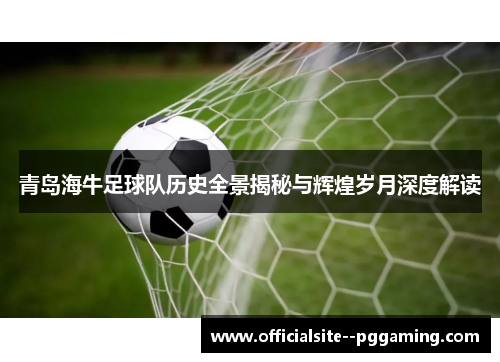 青岛海牛足球队历史全景揭秘与辉煌岁月深度解读