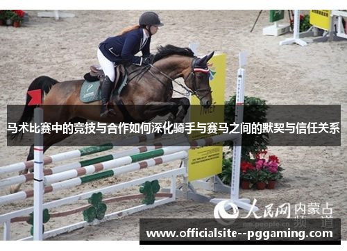 马术比赛中的竞技与合作如何深化骑手与赛马之间的默契与信任关系