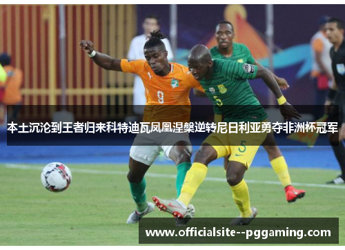 本土沉沦到王者归来科特迪瓦凤凰涅槃逆转尼日利亚勇夺非洲杯冠军