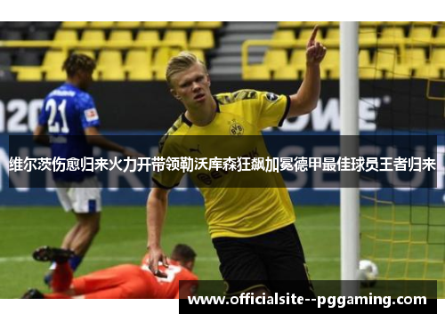 维尔茨伤愈归来火力开带领勒沃库森狂飙加冕德甲最佳球员王者归来 维尔茨伤愈归来火力开带领勒沃库森狂飙加冕德甲最佳球员王者归来